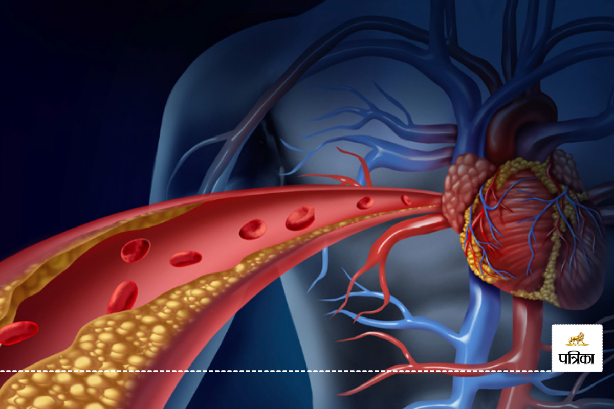 Naturally Controls Cholesterol: आराम से कंट्रोल हो सकता है कोलेस्ट्रोल, डेली रूटिन में शामिल करें इन 4 चीजों