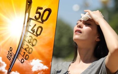 Weather Update: भारत के पड़ोस में गर्मी का तांडव! 50 डिग्री तक पहुंच सकता है तापमान